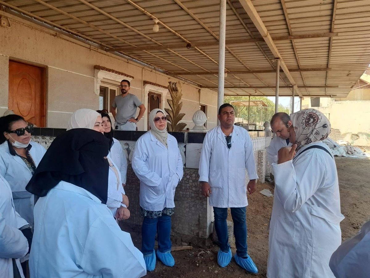 الجهود التنفيذية ببورسعيد 