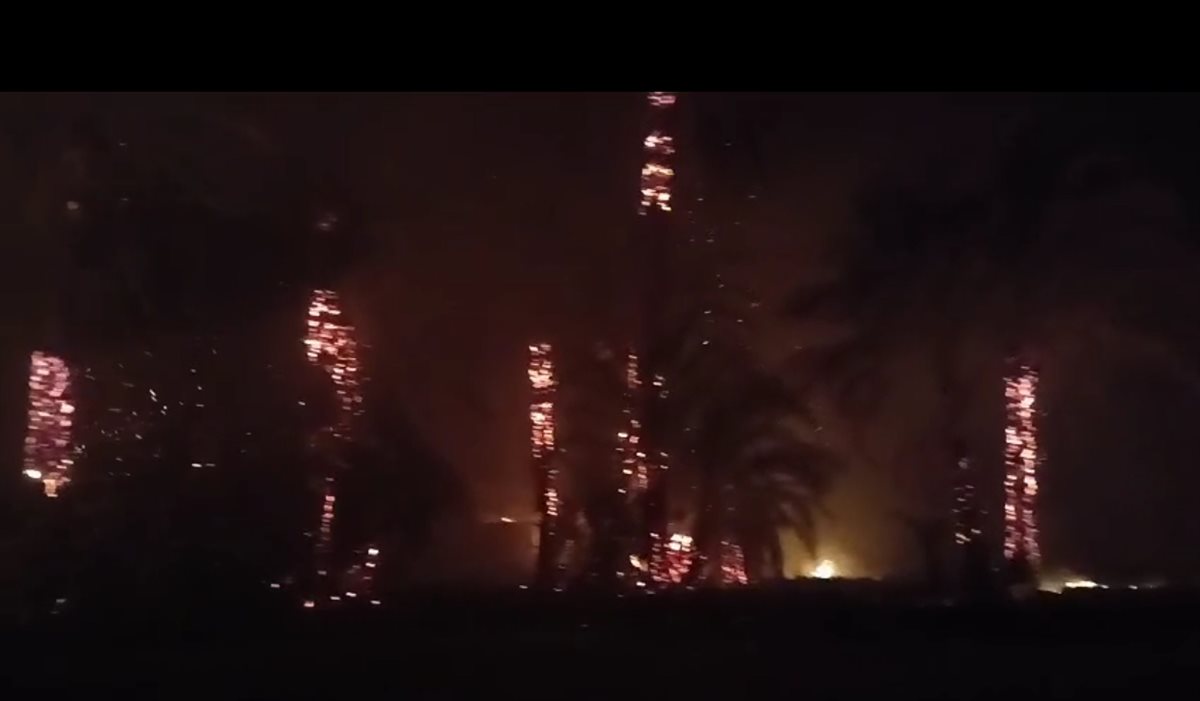 حريق هائل بنخيل 