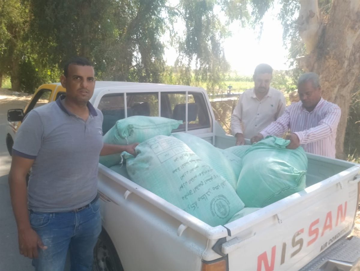 حملات تموينية مكثفة بالأقصر