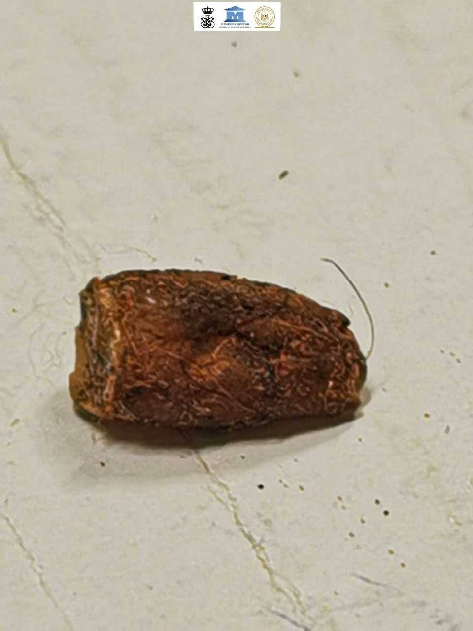 مقتنيات متحف قصر المنيل  