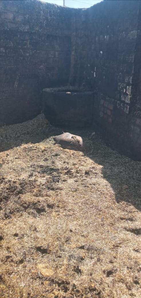 حريق يلتهم 4 أحواش في سوهاج&nbsp;