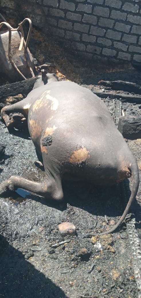 حريق يلتهم 4 أحواش في سوهاج&nbsp;