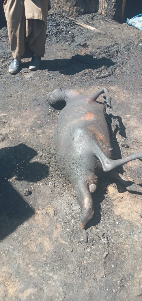 حريق يلتهم 4 أحواش في سوهاج&nbsp;