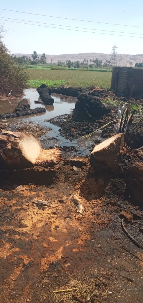 حريق يلتهم 4 أحواش في سوهاج&nbsp;