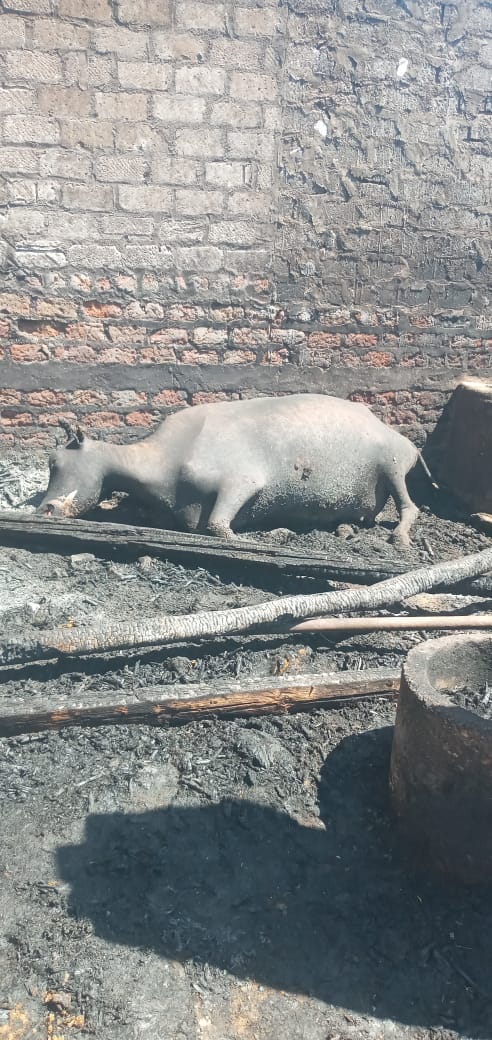 حريق يلتهم 4 أحواش في سوهاج&nbsp;