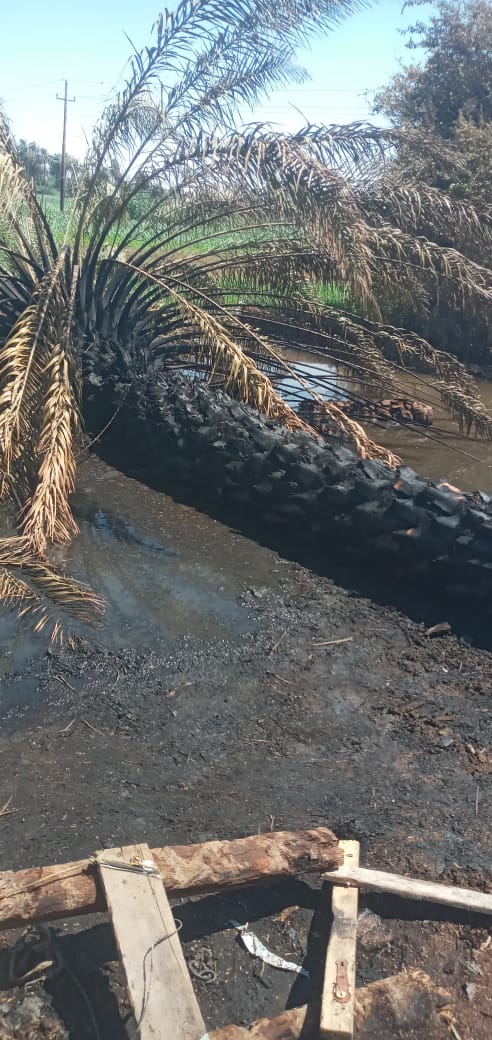 حريق يلتهم 4 أحواش في سوهاج&nbsp;