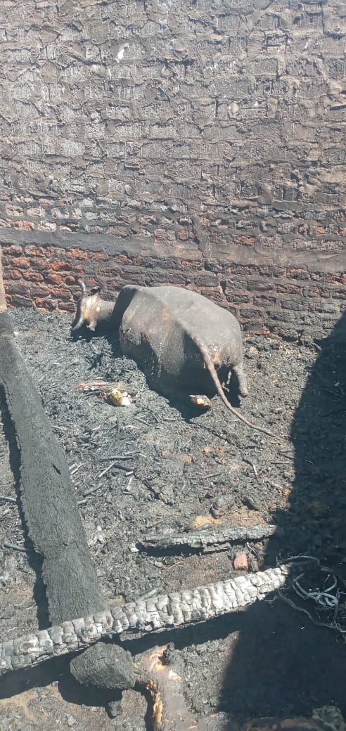 الحريق بنجع الخطابية طما