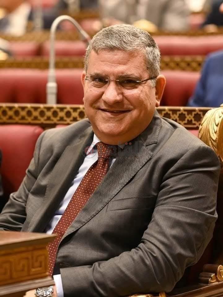 مهندس حاتم المليجي