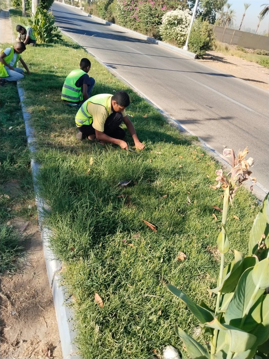 تجميل شوارع الأقصر