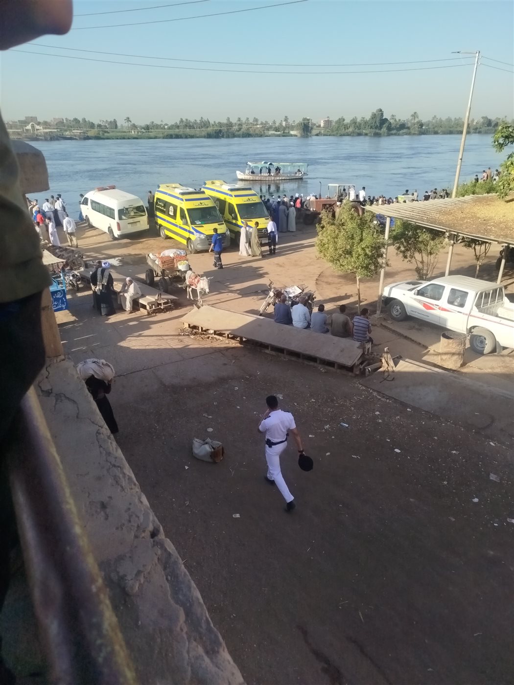 وقعت من المعدية.. جهود مكثفة لانتشال سيارة محملة بالماشية داخل نهر النيل في قنا