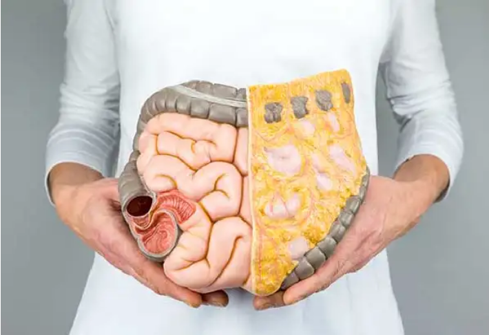 طرق طبيعية لتنظيف القولون 