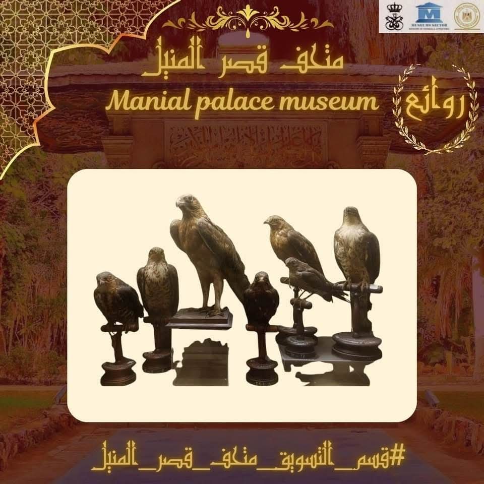 القصور المحنطة 