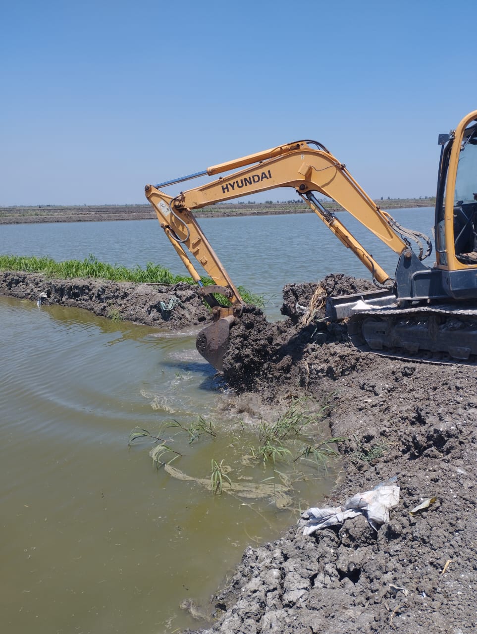 الجهود التنفيذية ببورسعيد 