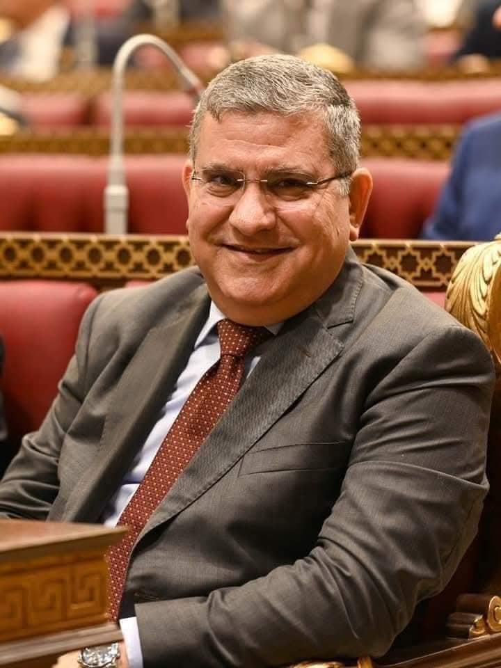 حاتم المليجي