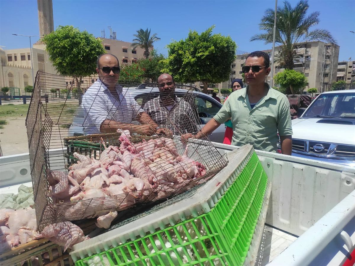 الجهود التنفيذية ببورسعيد