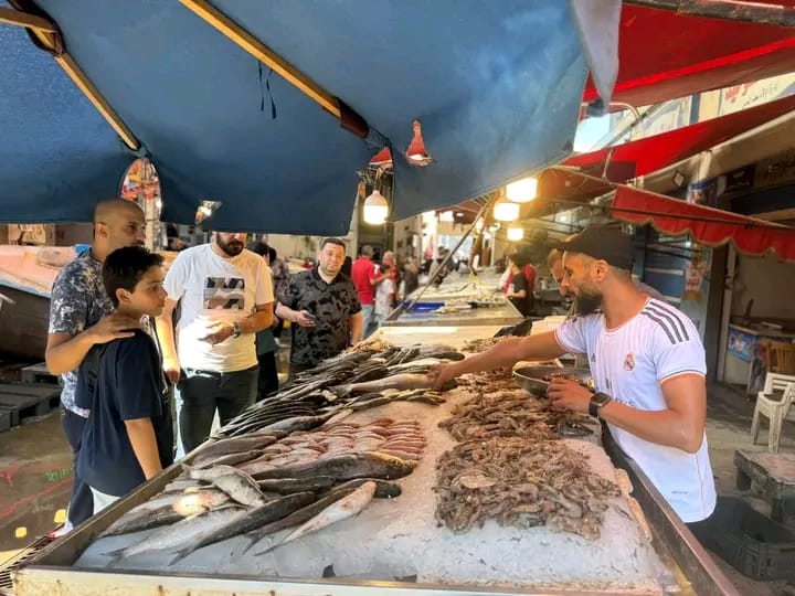 الجهود التنفيذية ببورسعيد 