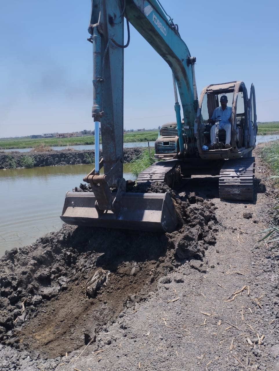 الجهود التنفيذية ببورسعيد 