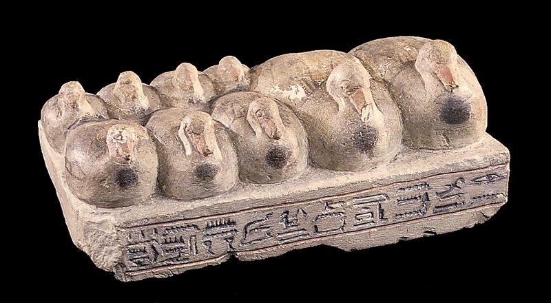 إوزات آمون المقدسة