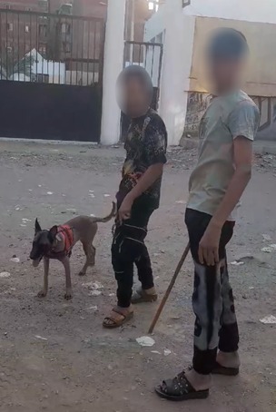 القبض علي شخصين في اتهامهما بترويع الأطفال بالقليوبية