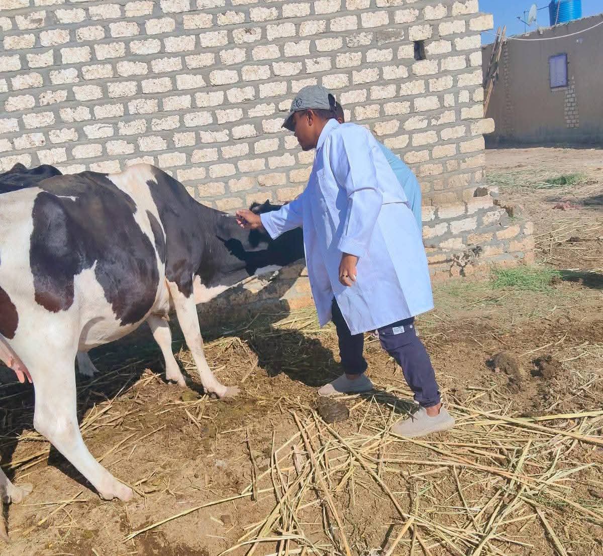 جانب من حملة التحصين ضد الحمي القلاعيه في الوادى الجديد