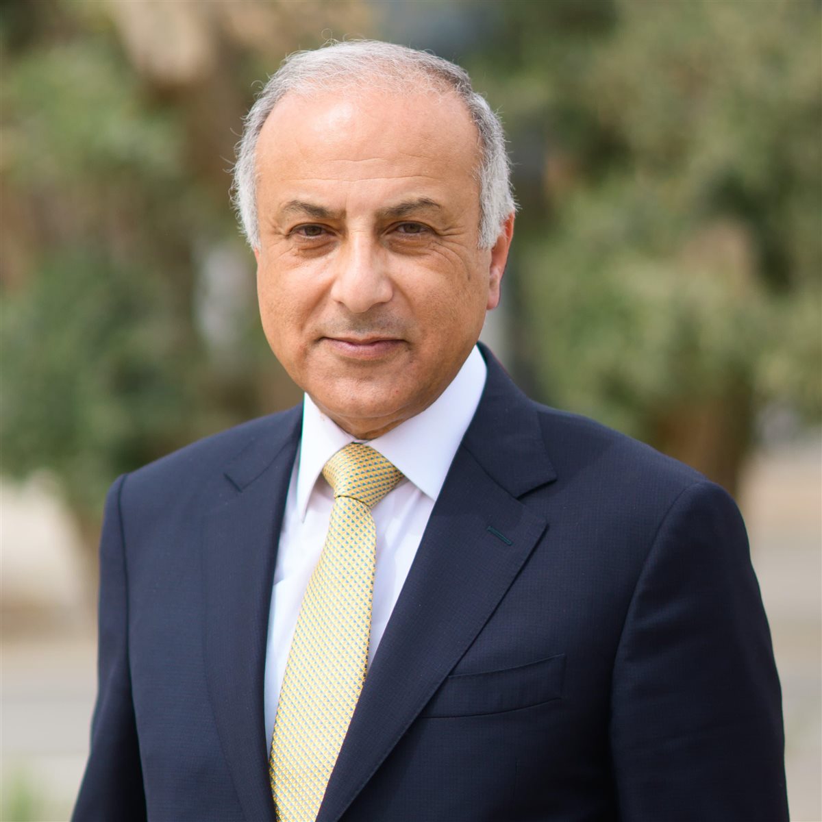 <strong>الدكتور حسام الملاحي رئيس جامعة باديا</strong>