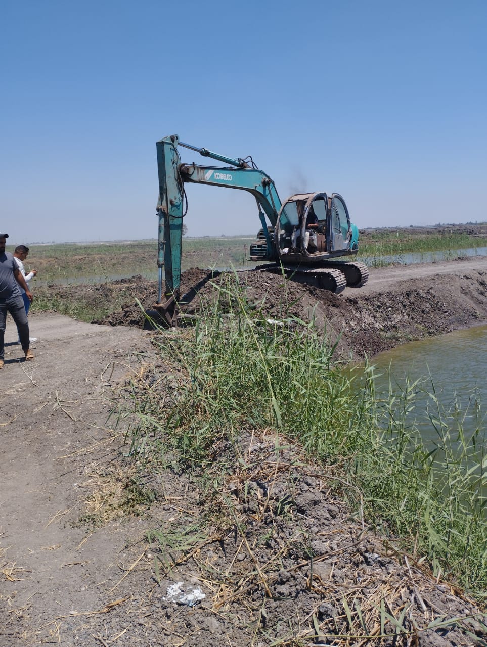الجهود التنفيذية ببورسعيد 