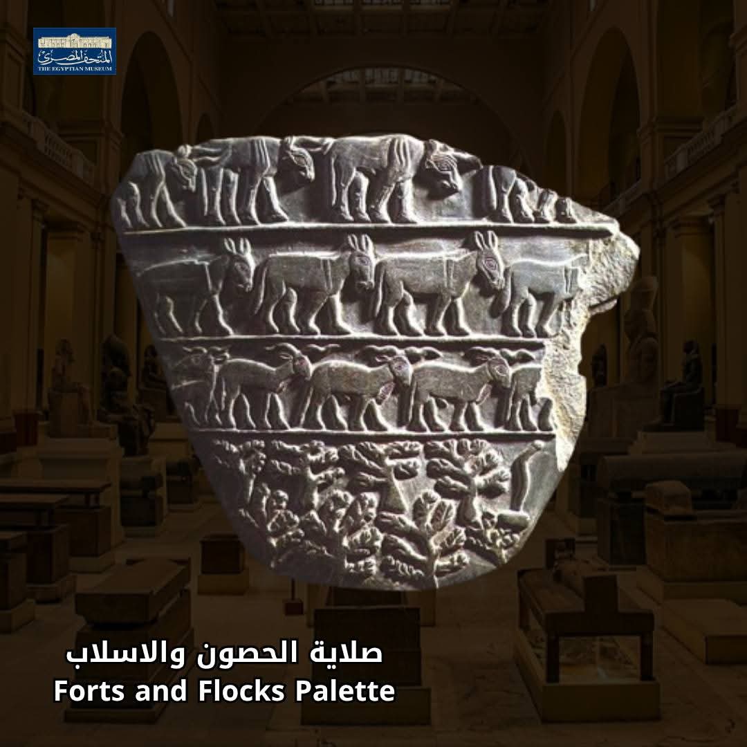 صلاية الحصون والاسلاب 