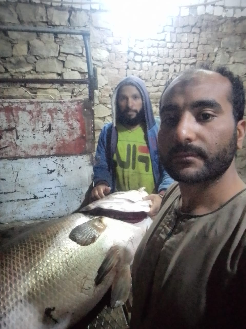 صياد بالأقصر يصطاد أكبر سمكة ساموس في النيل