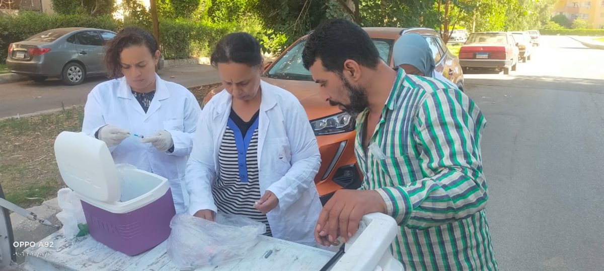 تطعيم وتحصين 260 كلب ضال &nbsp;في بعض المناطق بمحافظ الجيزة&nbsp;