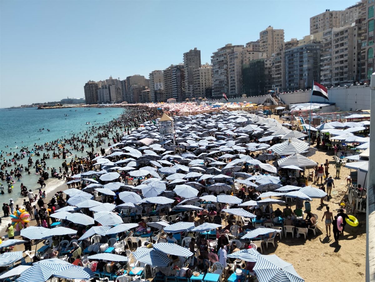 شواطئ الإسكندرية 