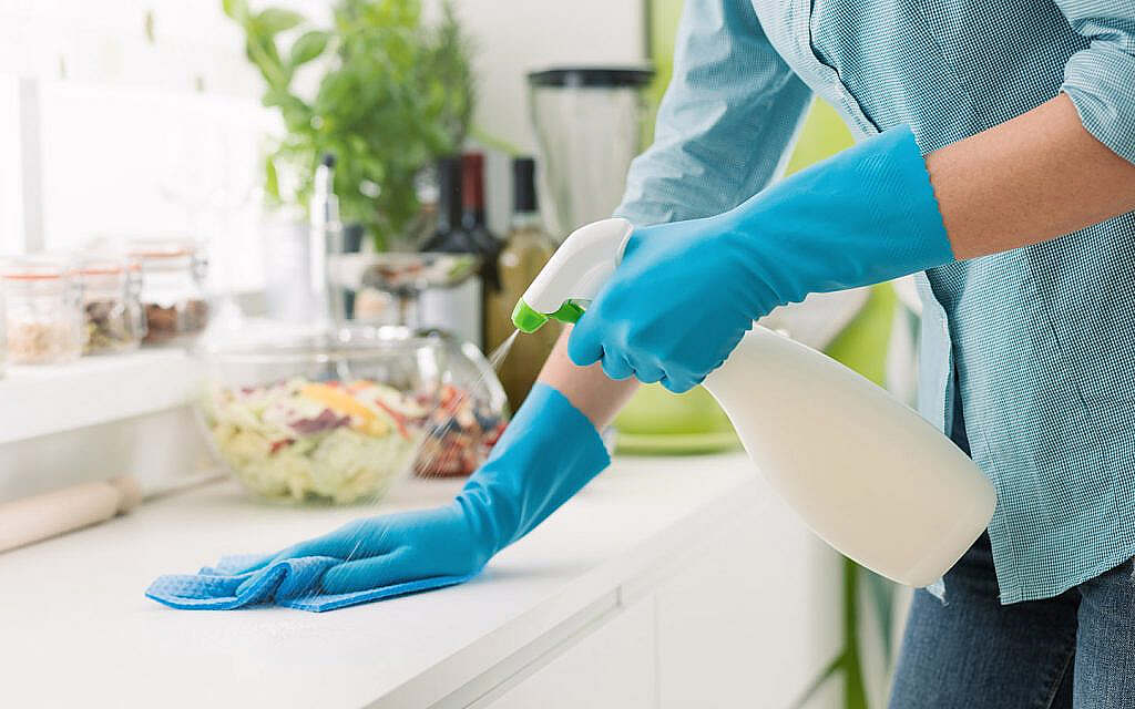 أفضل طرق طبيعية وآمنة لطرد الذباب من المنزل نهائيًا