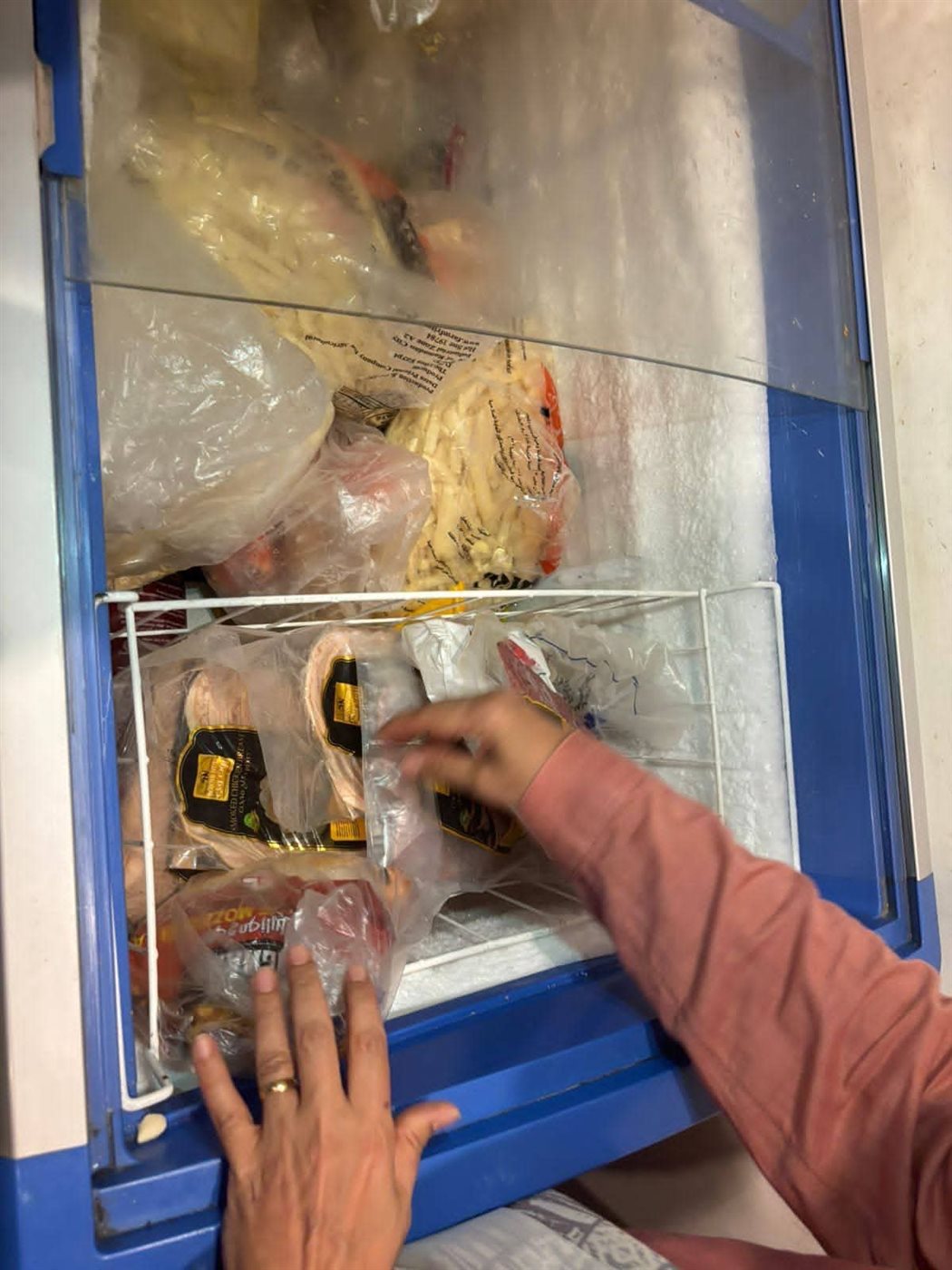 جانب من الحملات 