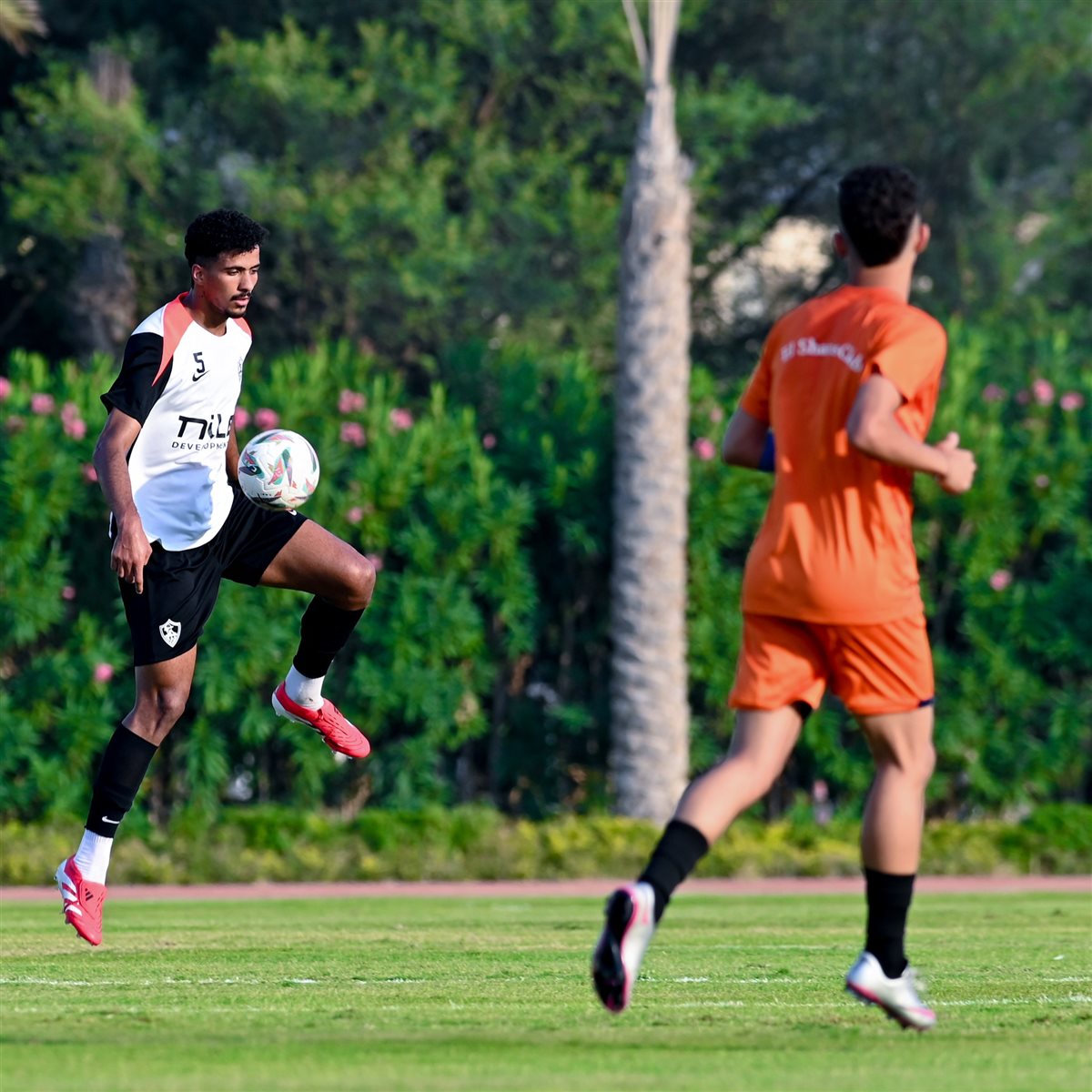 <strong>صور من مباراة الزمالك والشمس الودية </strong>