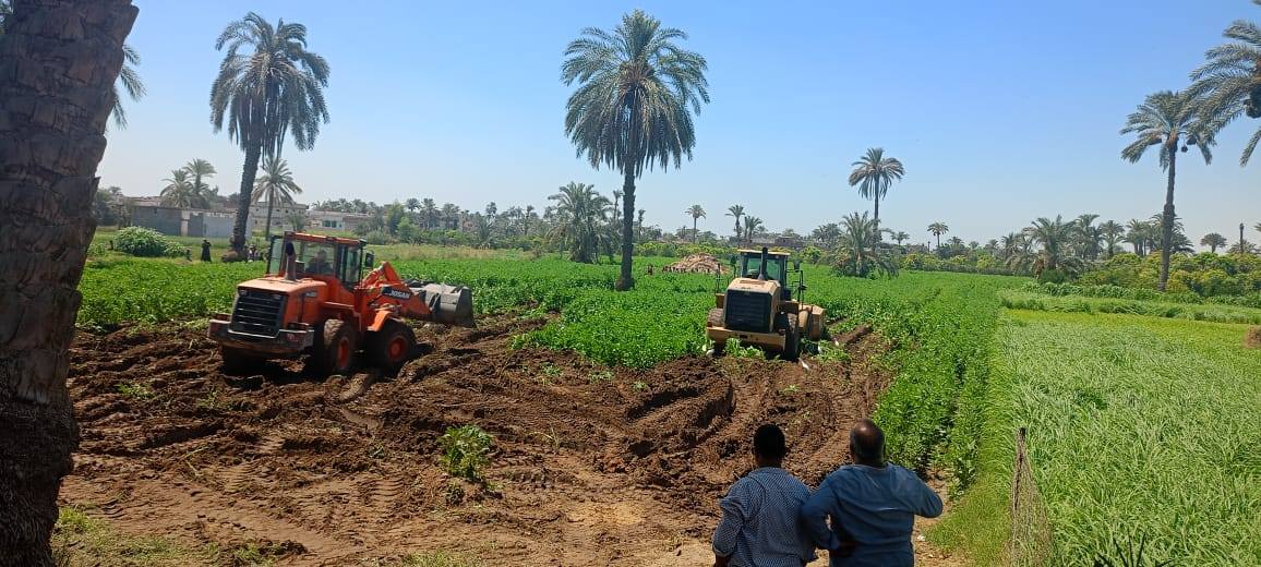  إزالة للتعديات الزراعية بمنطقة آثار الشيخ مسعود بمحافظة المنيا