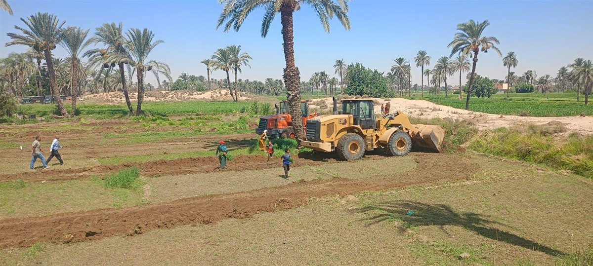  إزالة للتعديات الزراعية بمنطقة آثار الشيخ مسعود بمحافظة المنيا