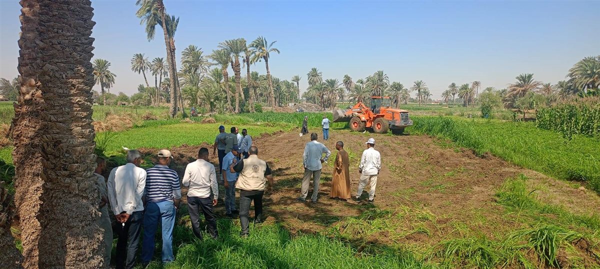  إزالة للتعديات الزراعية بمنطقة آثار الشيخ مسعود بمحافظة المنيا