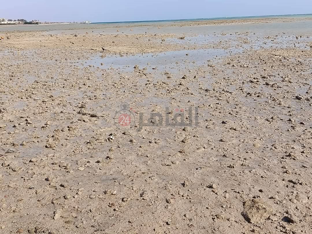 المد والجزر علي شواطئ الغردقة 