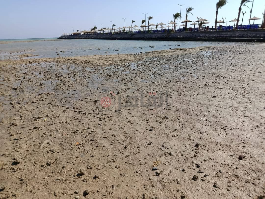 المد والجزر علي شواطئ الغردقة 