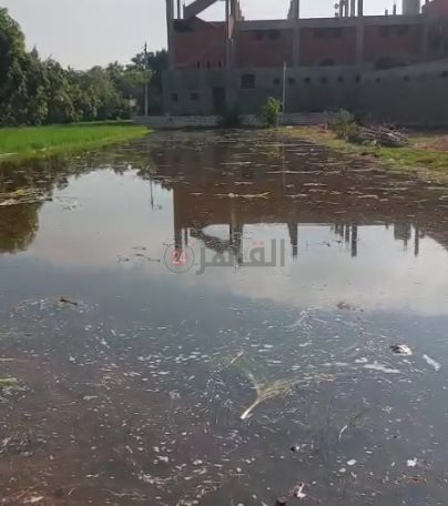 غرق أراضٍ ومنازل في عين غصين بالإسماعيلية (1)