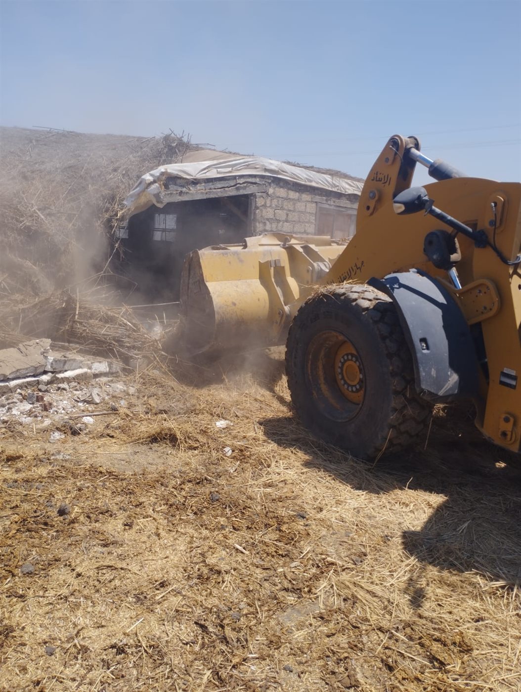 الجهود التنفيذية ببورسعيد 