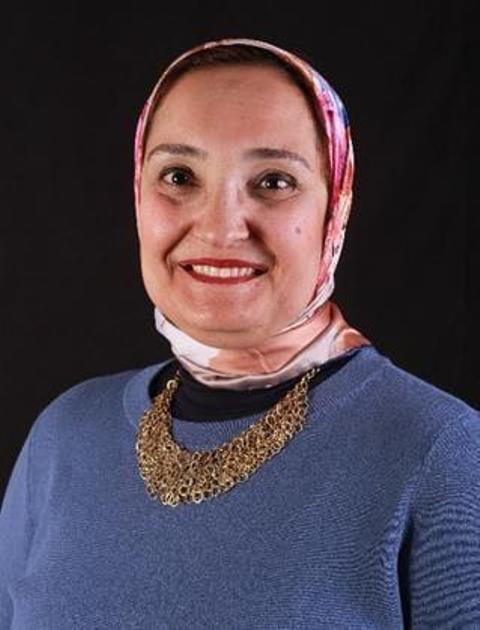  أعضاء لجنتي تحكيم مسابقة أفلام شباب مصر