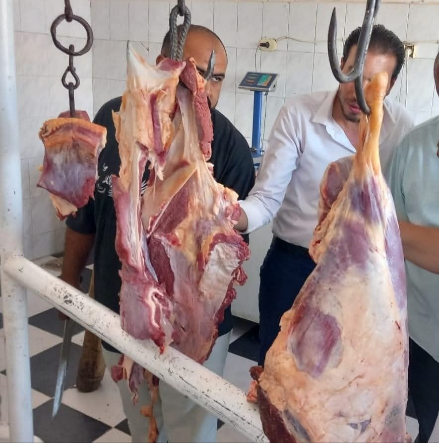 توفير لحوم سودانية طازجة 
