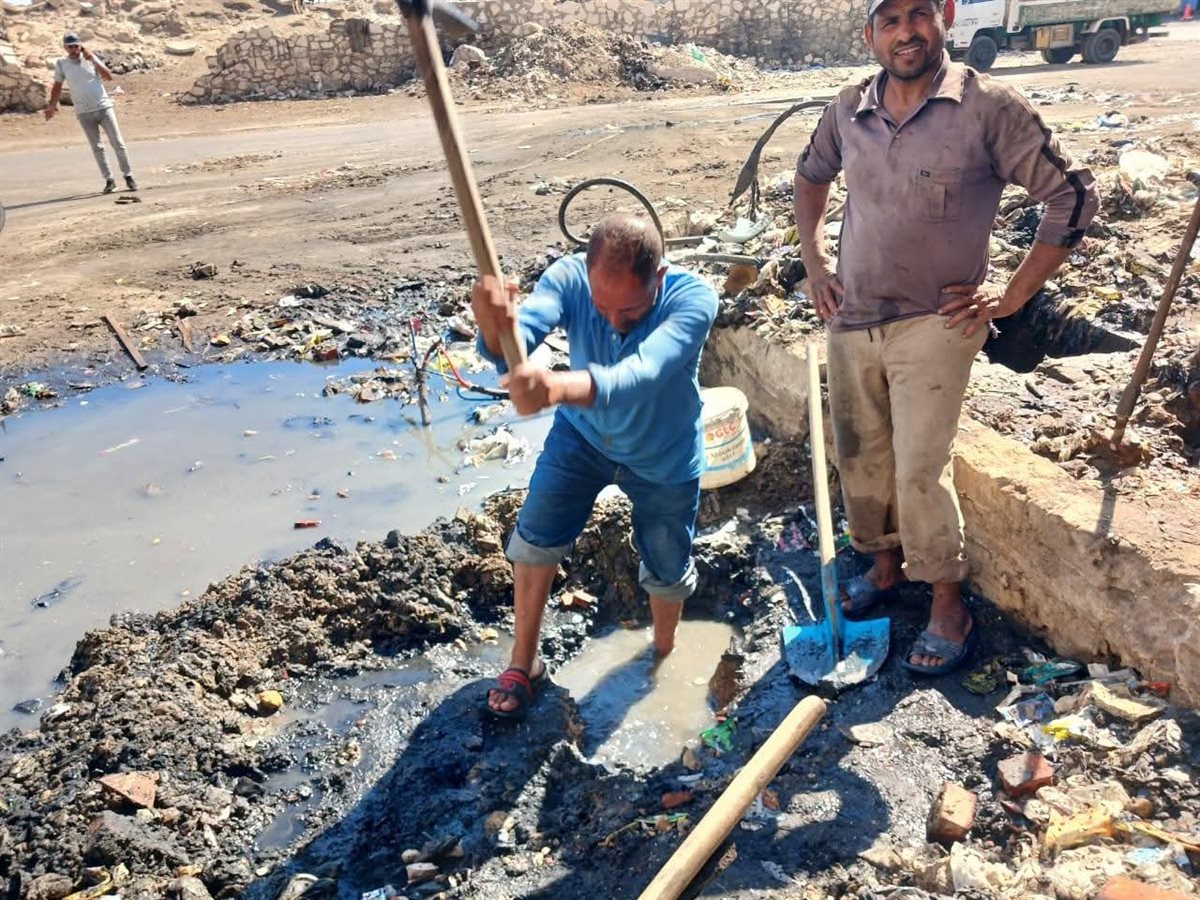 الجهود التنفيذية ببورسعيد 