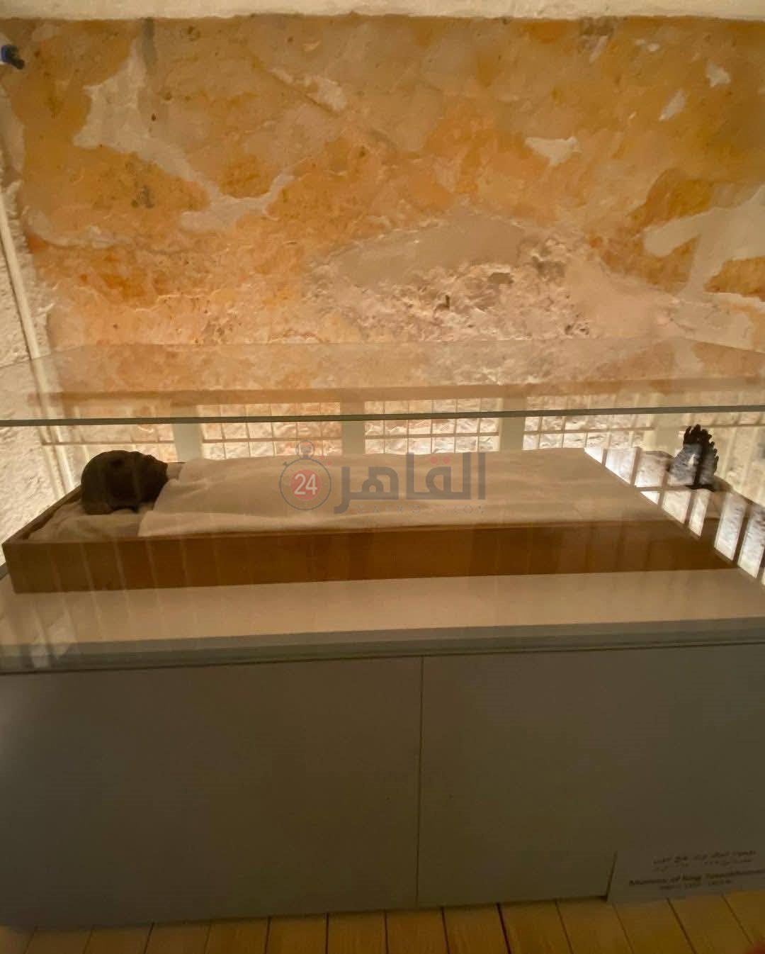 مومياء توت عنخ آمون بوادي الملوك بالأقصر (1)