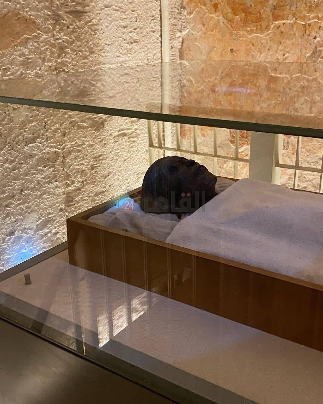 مومياء توت عنخ آمون بوادي الملوك بالأقصر (2)