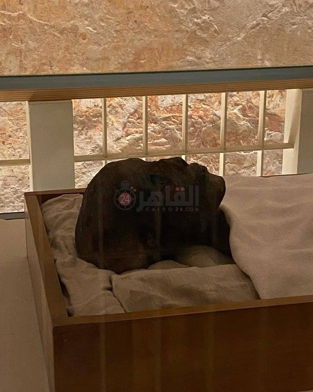 مومياء توت عنخ آمون بوادي الملوك بالأقصر (3)