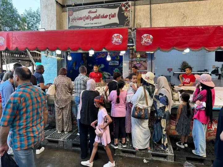 الجهود التنفيذية ببورسعيد 