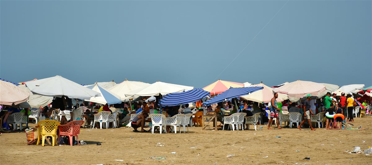 الجهود التنفيذية ببورسعيد 