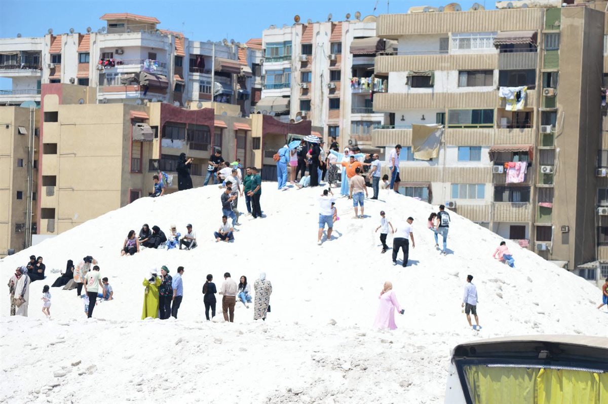 الجهود التنفيذية ببورسعيد 