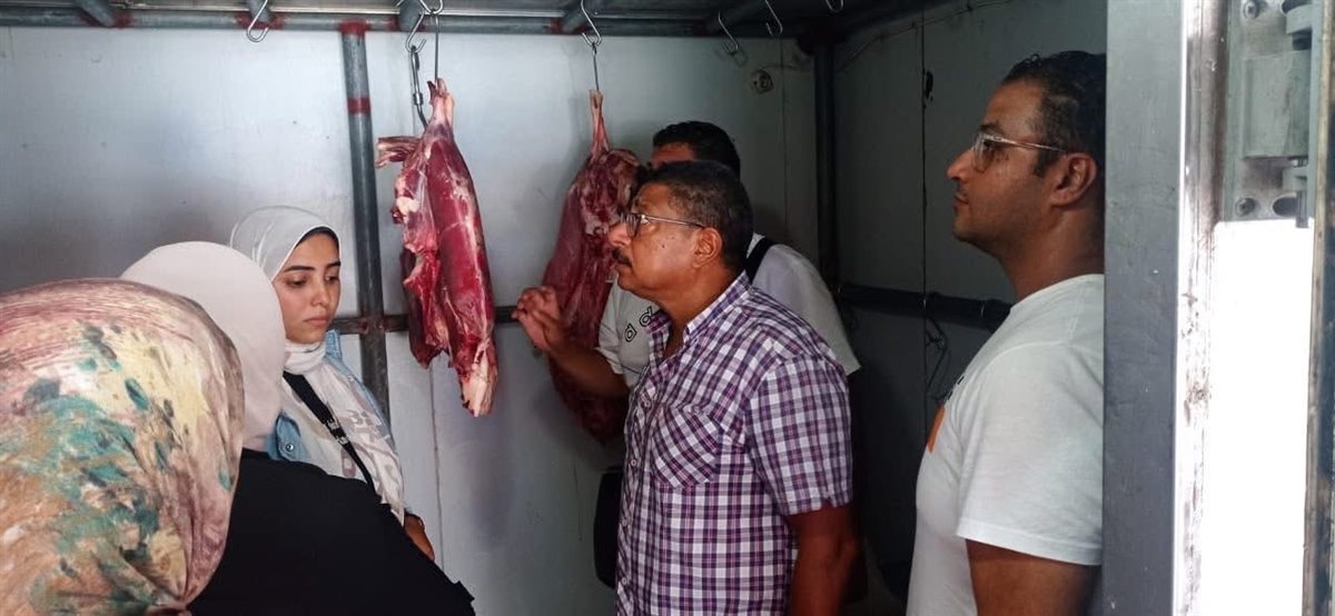 الجهود التنفيذية ببورسعيد 